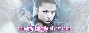 Naughty Knights Banner -large